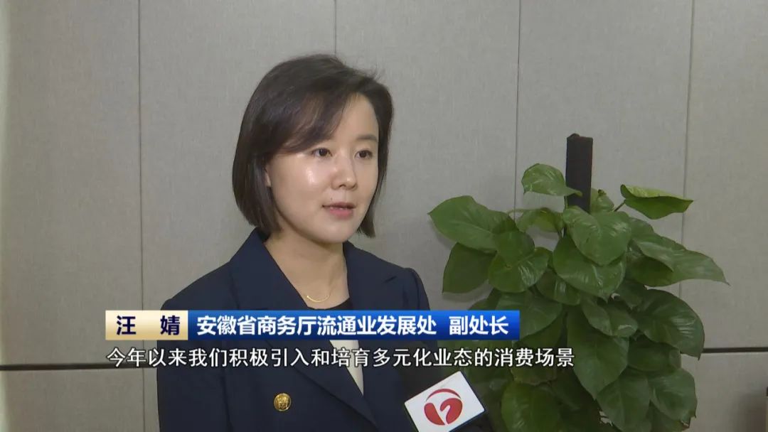 优化供给 政策发力 安徽持续激活消费新动能(图6)