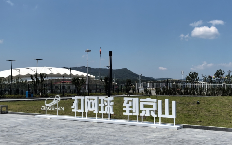 湖北京山：小网球转动大产业(图2)