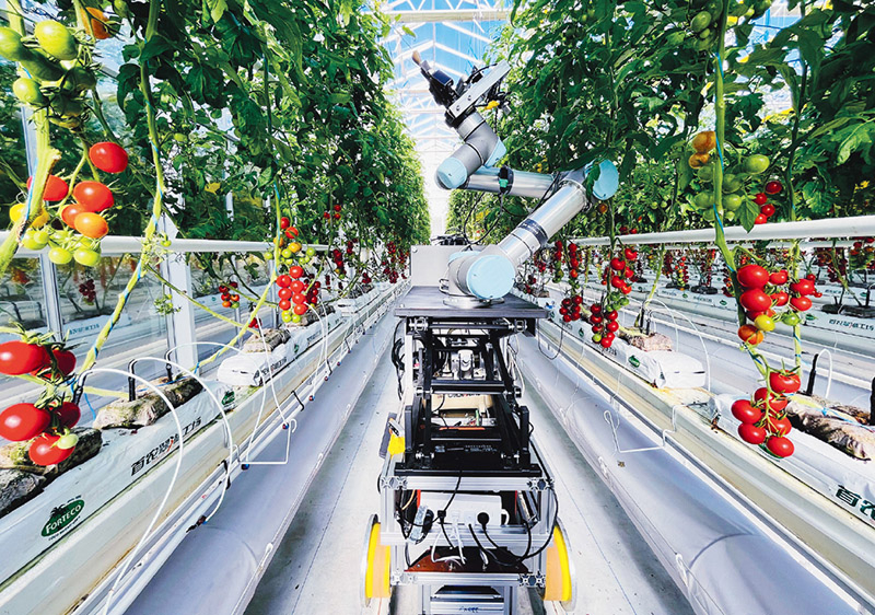 求是专访 “人工智能+”：“+”什么、如何“(图2)