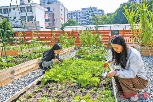 “犄角旮旯”如何变身“金角银边”——探寻城市边角地重生之道