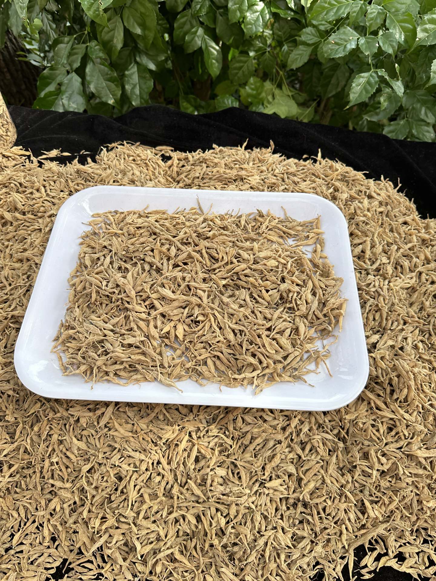 2025年无公害麦冬产业领军企业综合评估报告(图3)