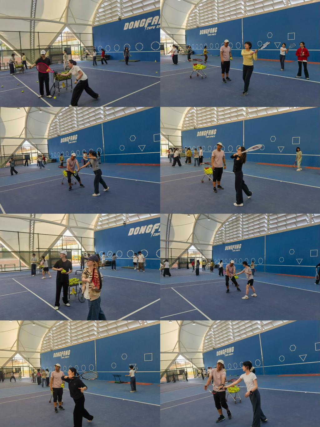 举办2026年上海市匹克球教练员培训暨二级社会体育指导员培训通知