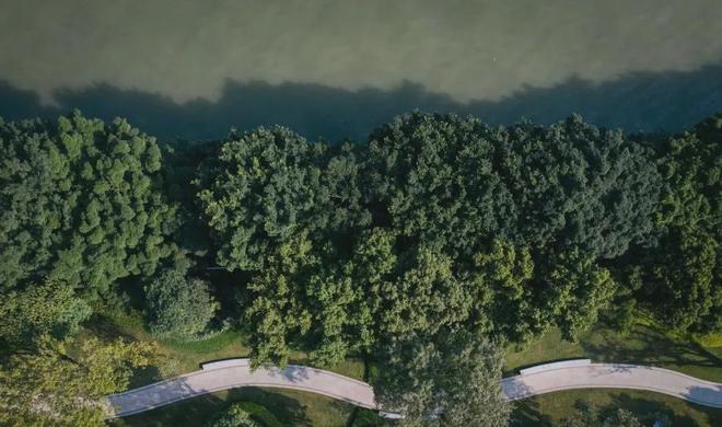 ⚡热搜好房南天名苑官方售楼处发布：南天名苑打造理想品质生活(图4)