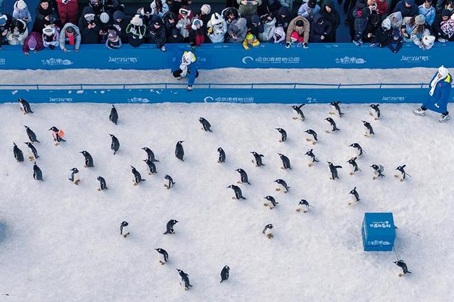 瞭望·治国理政纪事 把冰雪经济打造成新的增长点(图4)