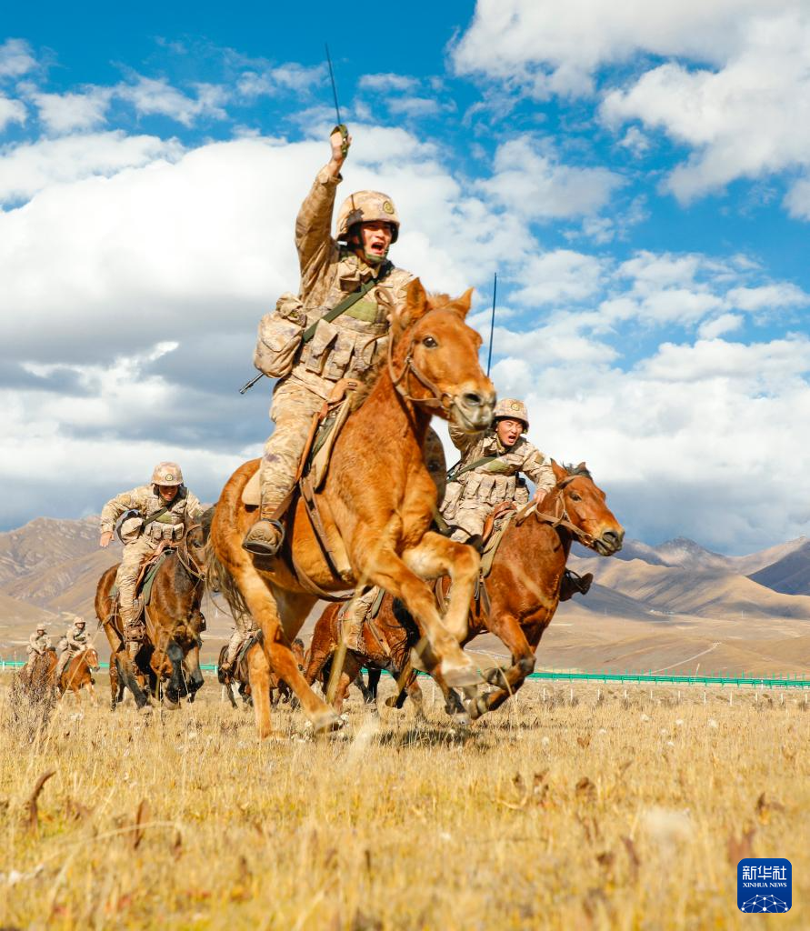 全军部队开展新年度军事训练(图15)