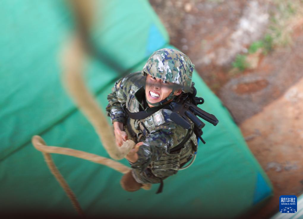 全军部队开展新年度军事训练(图14)