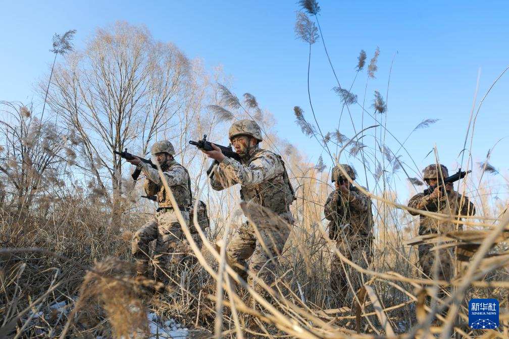 全军部队开展新年度军事训练(图6)