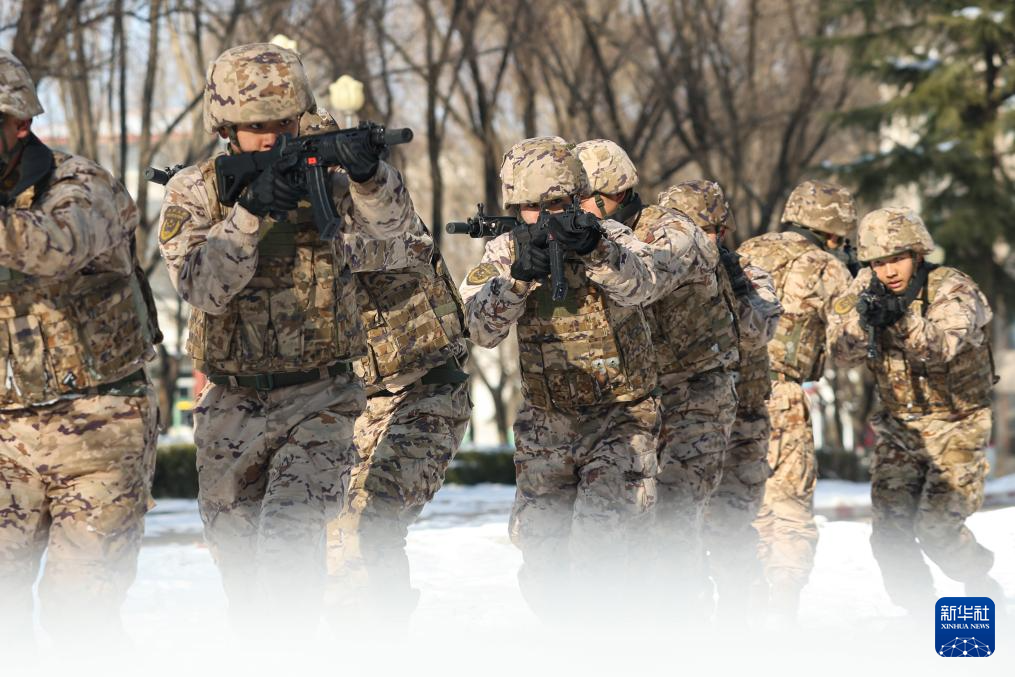全军部队开展新年度军事训练(图8)