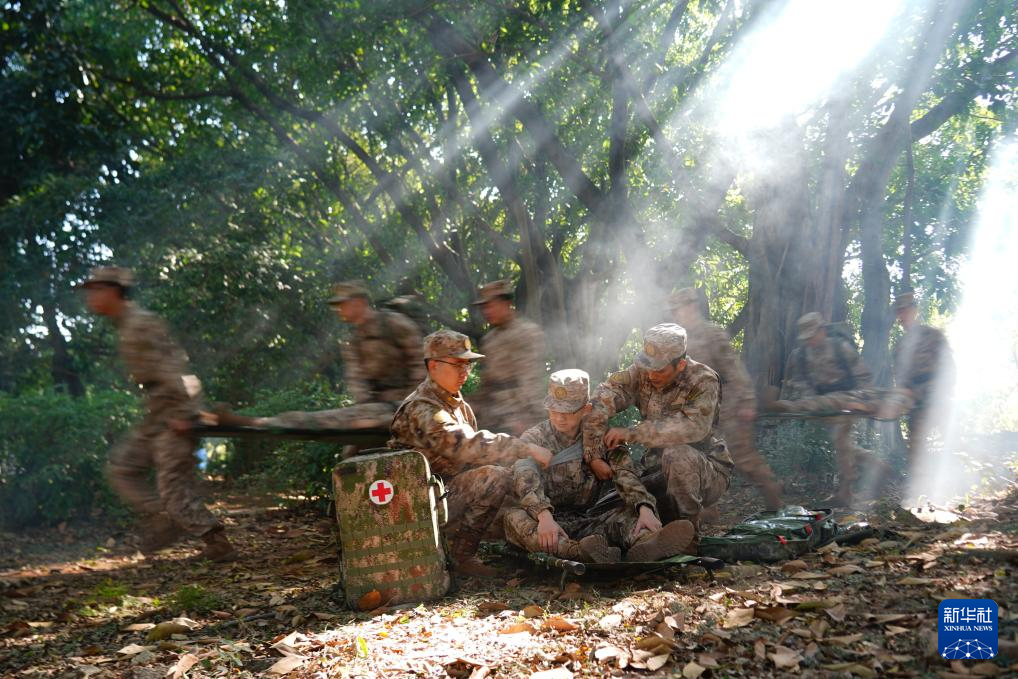 全军部队开展新年度军事训练(图10)