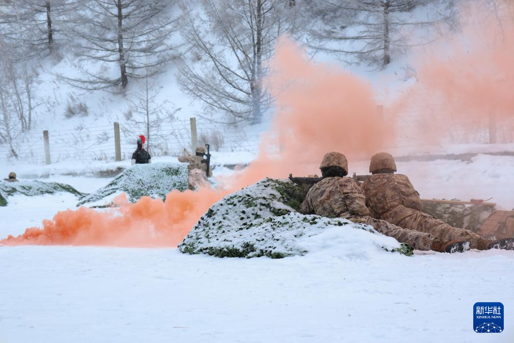 全军部队开展新年度军事训练(图11)