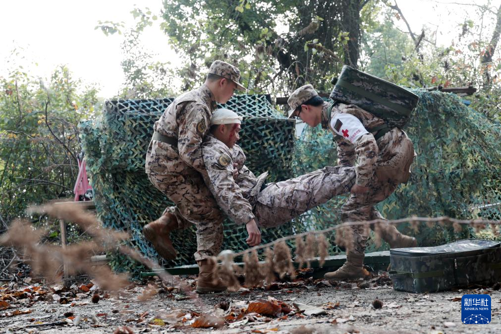 全军部队开展新年度军事训练(图12)