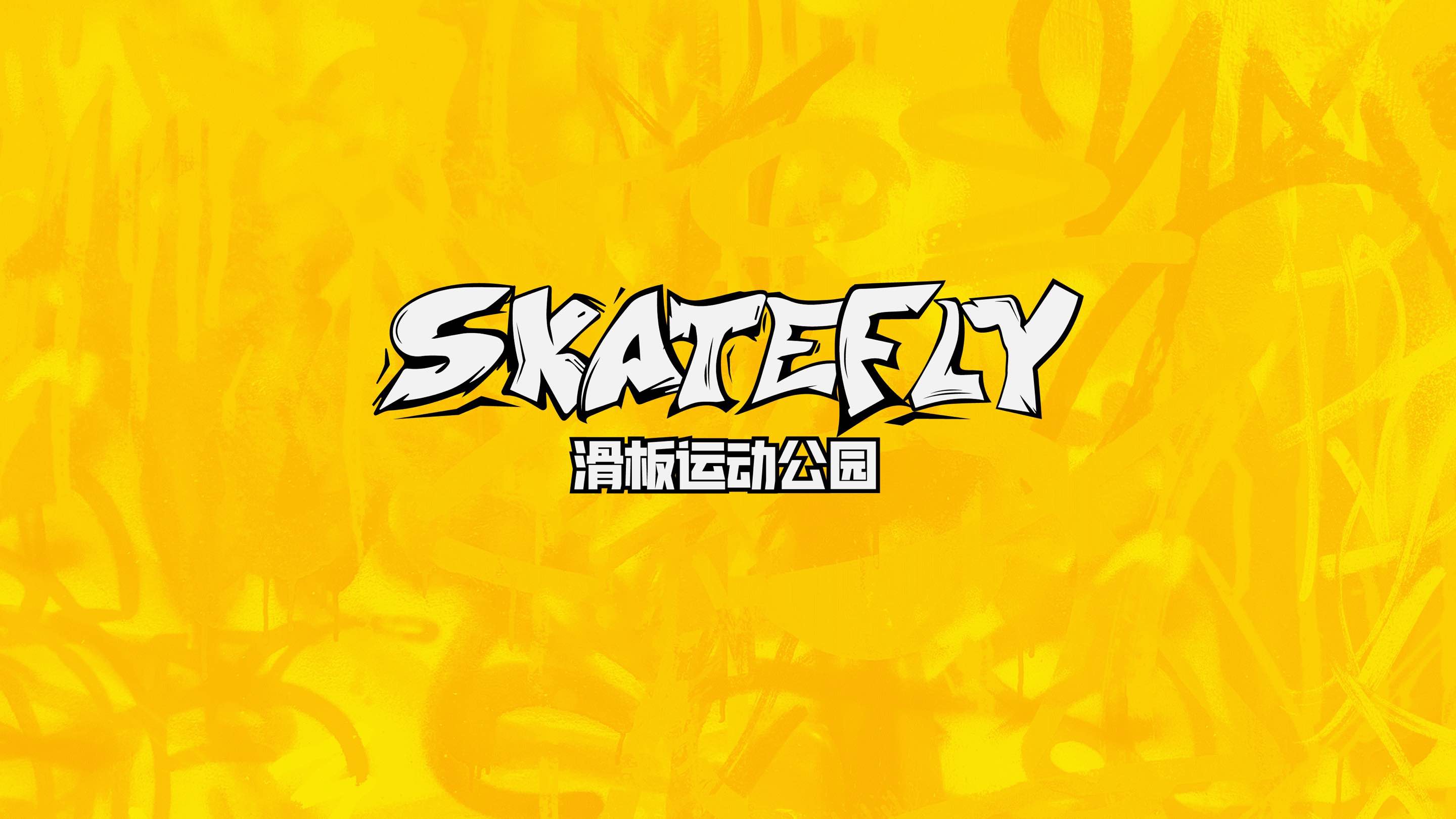 专业滑板培训学校如何选择：SKATEFLY引领行业新标准