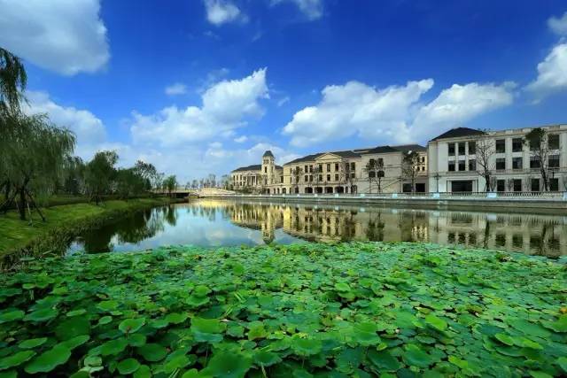 2个重磅消息刚刚落地！西安这个地方现在牛气冲天！(图3)