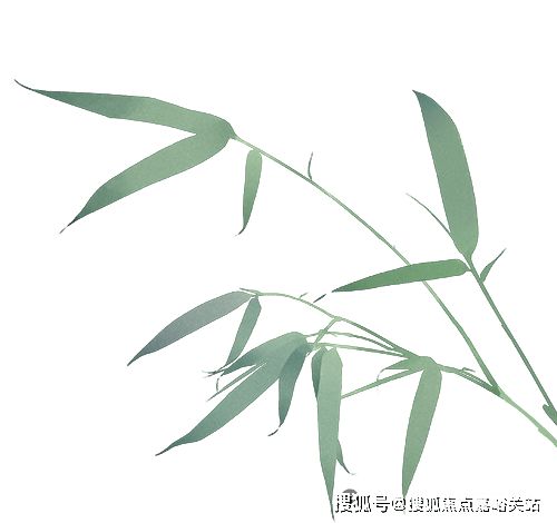 恒文璞悦江南官方售楼处：青浦朱家角低密至选125容积率享静谧(图3)