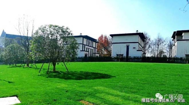 Ai✦网易首页丨杭州广瑞瑞城花园官方售楼处发布：理想置业优选(图4)