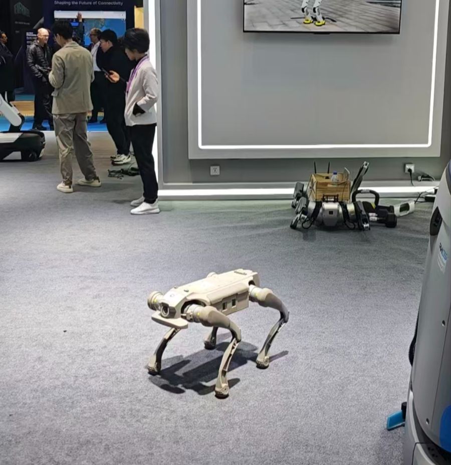 在巴塞罗那“相信未来”(图4)