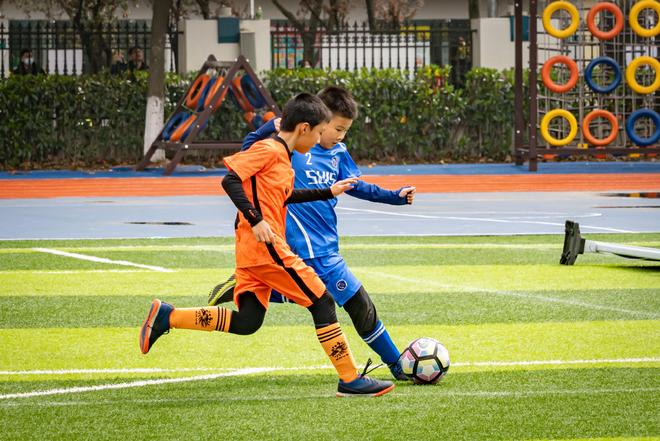 2亿青少年“动起来”校园体育培训有了大机会(图1)