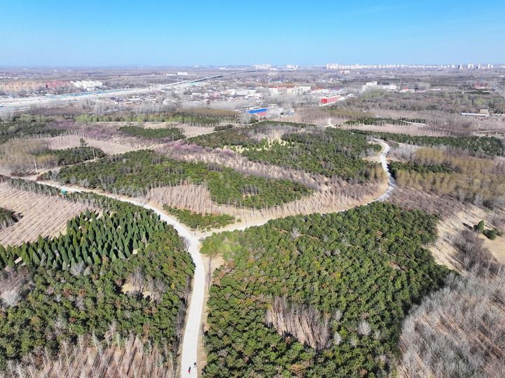 雄安拔节生长向未来(图1)