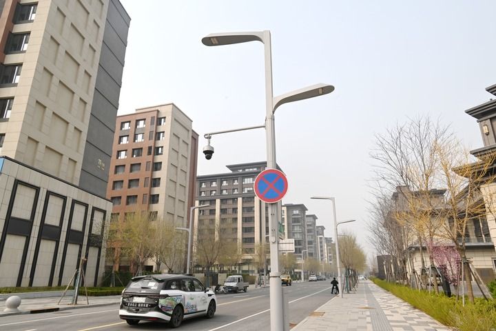 雄安拔节生长向未来(图13)