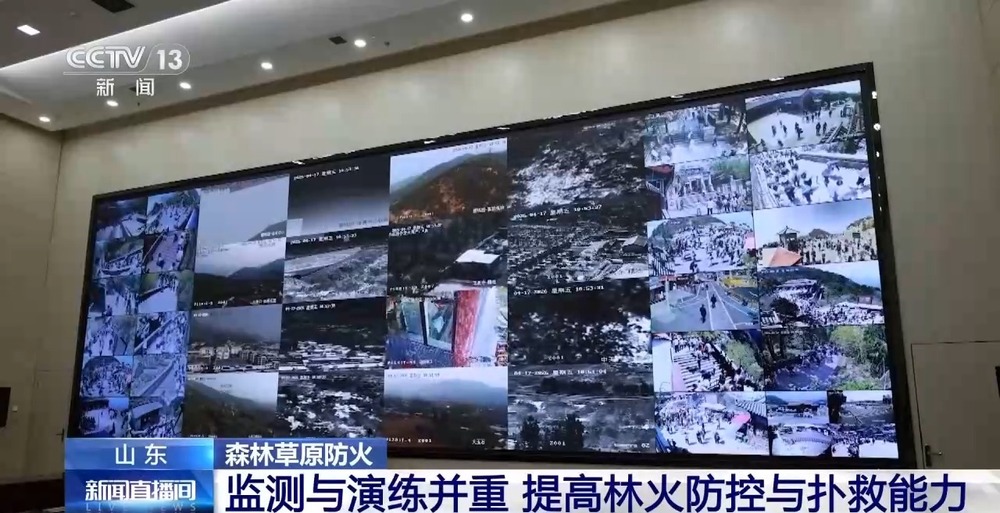 视频丨“五一”假期进山踏青 这份山火逃生指南请收好(图6)