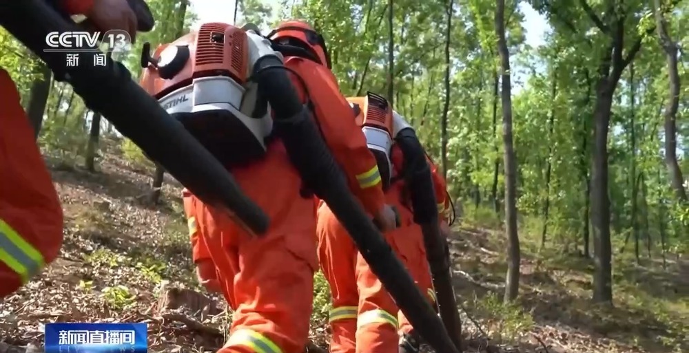 视频丨“五一”假期进山踏青 这份山火逃生指南请收好(图9)