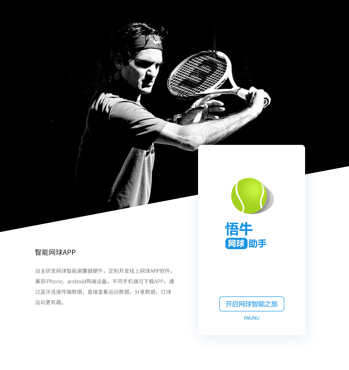 特斯拉语音大模型上线