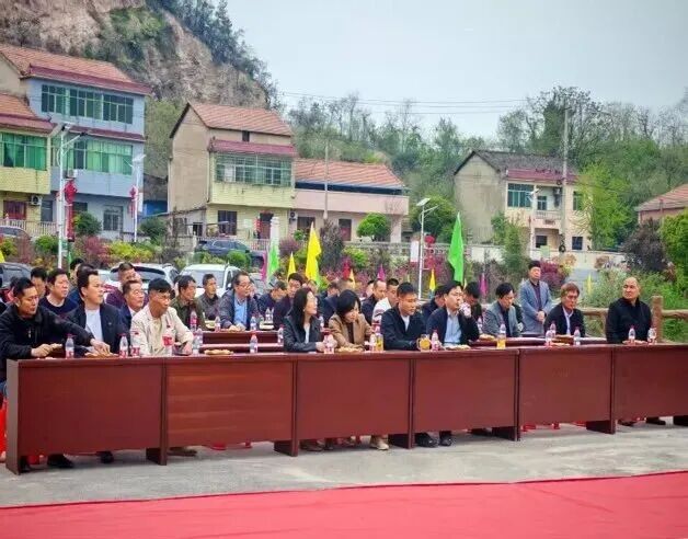 沼山脚下一元钱如何焕新一个村(图4)